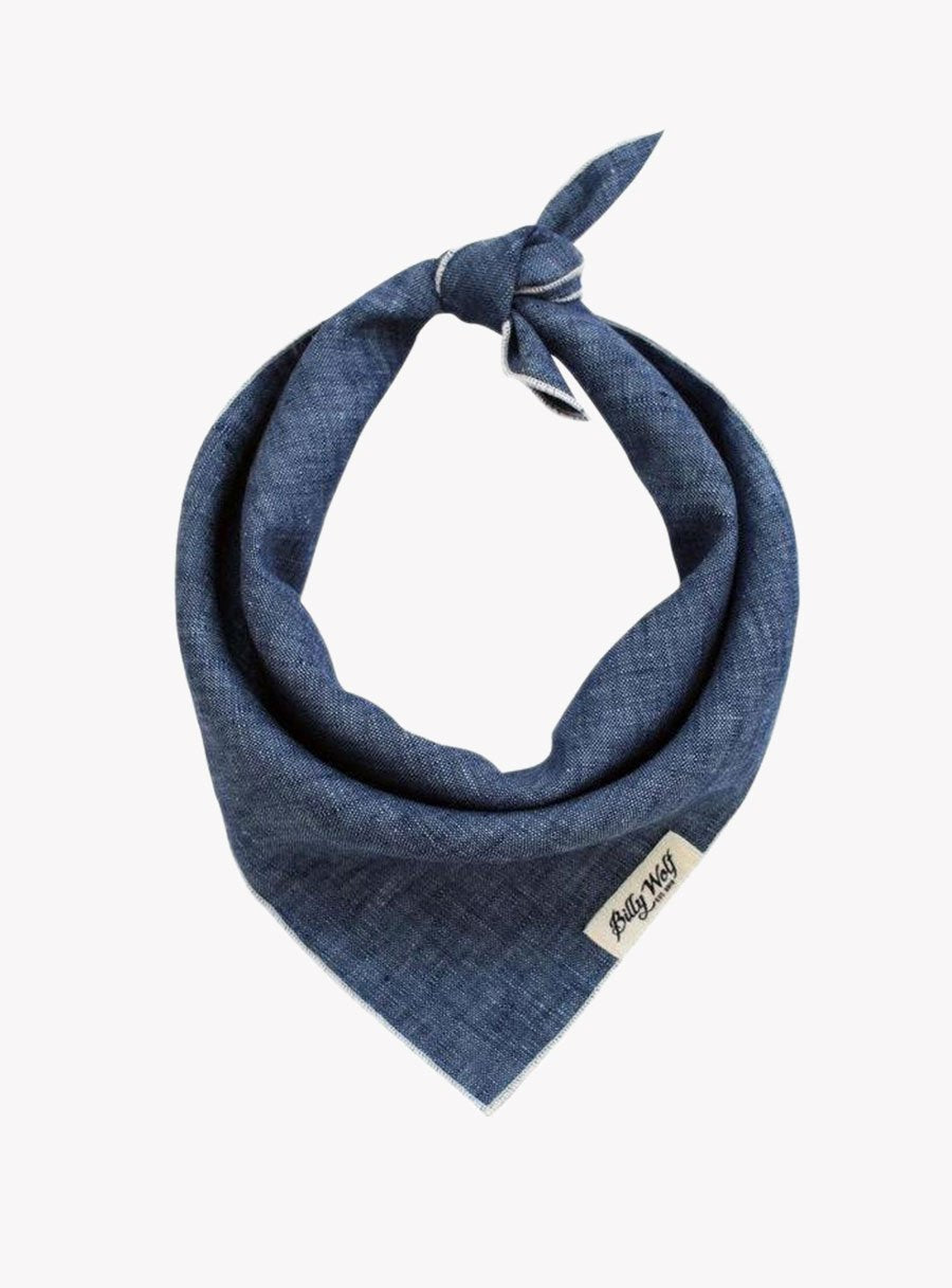 Blue Lace Long Sleeve Dress