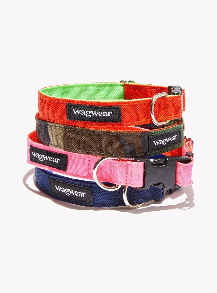 Jumper With Turtle Neck