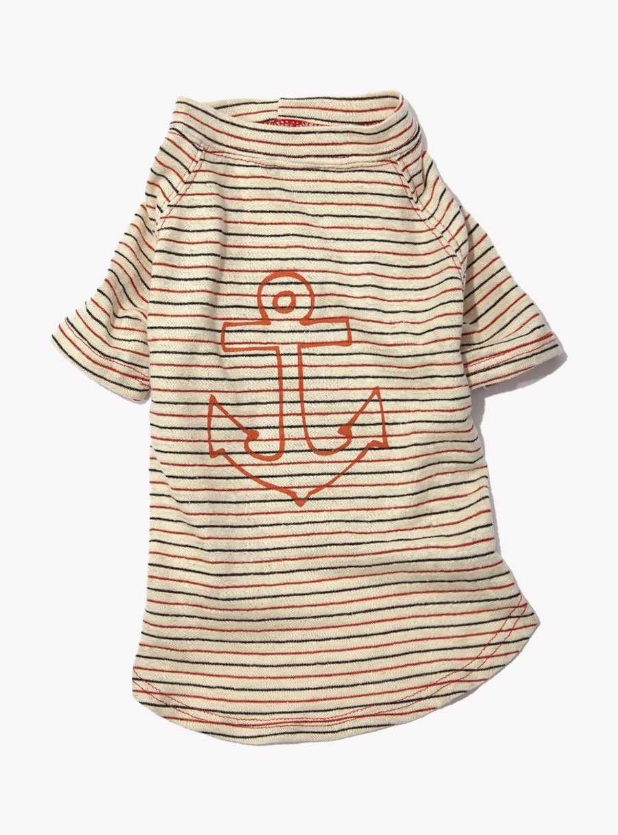 Mono One Shoulder Ruffle Mini Dress