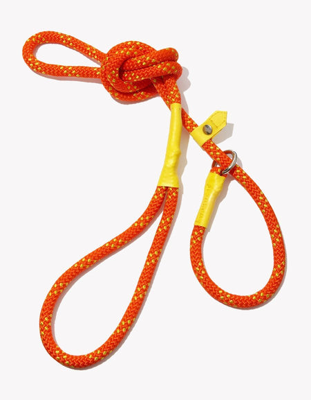 Blue Lace Long Sleeve Dress