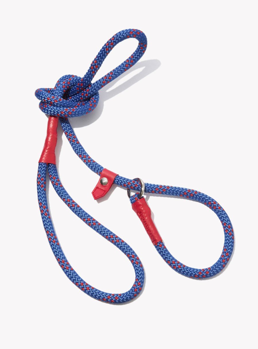 Jumper With Turtle Neck